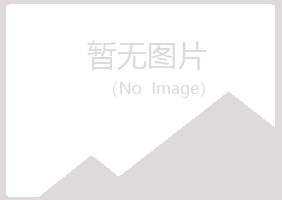 钦州钦北夏岚制造有限公司